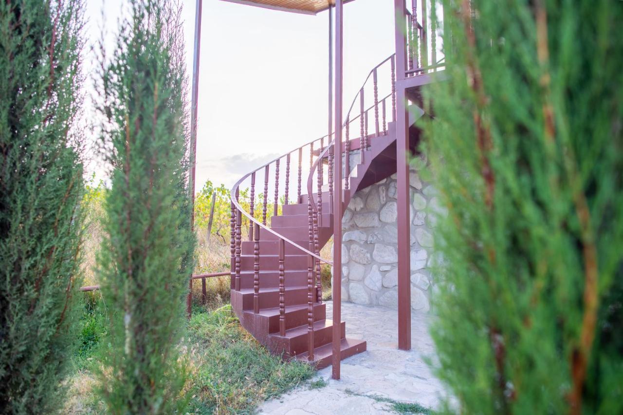Chateau Tetri Bairagebi White Flags Kisiskhevi Exterior photo
