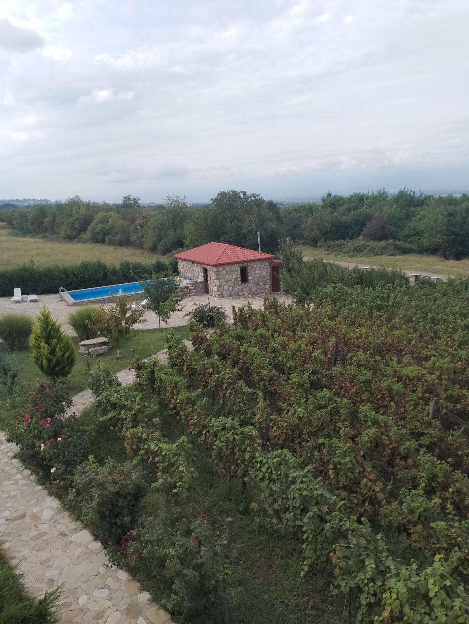 Chateau Tetri Bairagebi White Flags Kisiskhevi Exterior photo